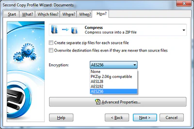 screenshot of Second Copy